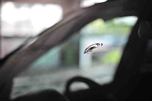 Will Super Glue stop windshield crack?